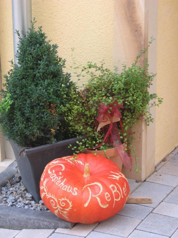 Gaestehaus Ressler Harxheim Eksteriør billede